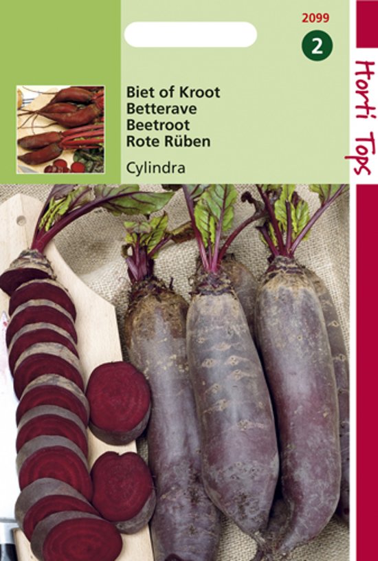 Rode biet Cylindra (Beta vulgaris) 350 zaden